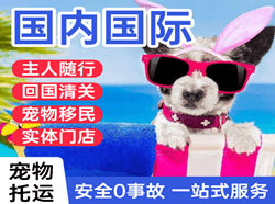 观音机场空运国际宠物托运 【国